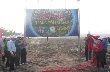 Cao su Bình Long tái canh 923 ha năm 2015